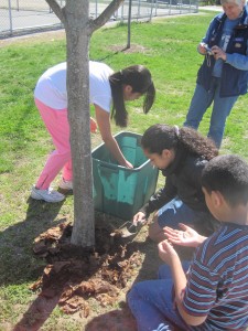 Young people using compost on a tree.
